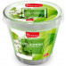 CANDELA DEO CONICAL 120GR FRESIA &JASMIN (24pz)